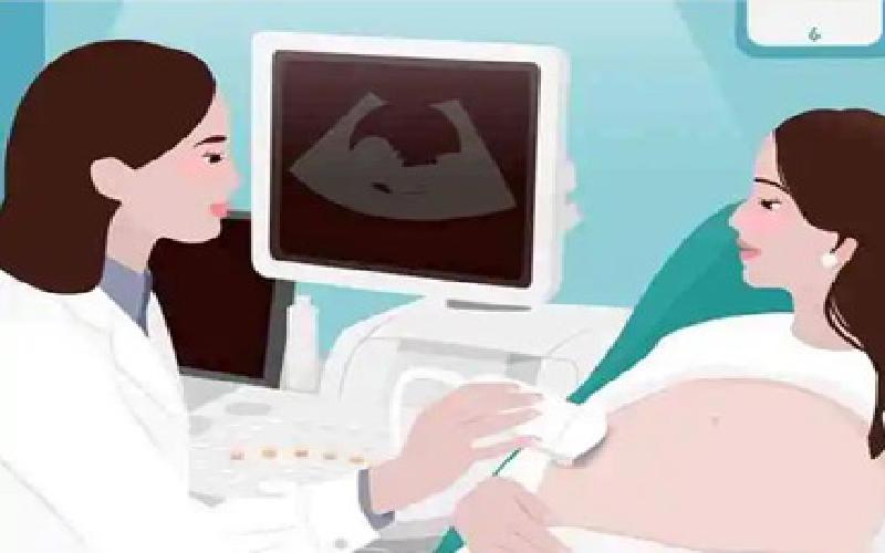 李恬恬试管代生